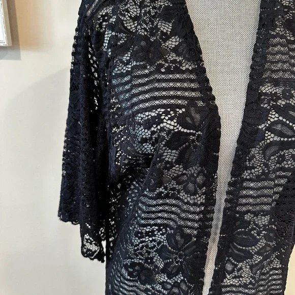 Ginger G Black Lace Overlay - Picture 2 of 4